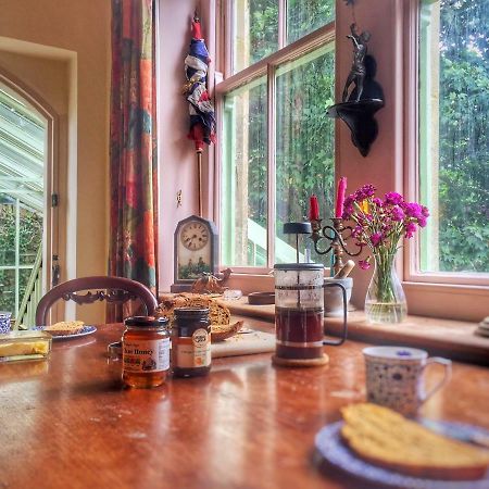84 Saint Andrews Road Διαμέρισμα Bridport Εξωτερικό φωτογραφία